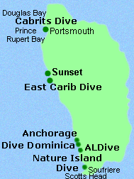 Dive Operators on Dominica