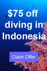 $75 voucher for diving anywhere in the world - claim offer