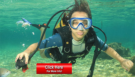 Best Diving In Cuba Scuba Travel - 