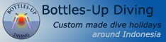 bottles-up logo