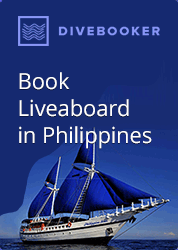 Book liveaboard diving in the Philippines