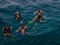 Divers in the water