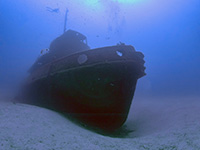 The Rozi dive site