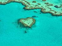 Whitsundays, home of an underwater sculpture park