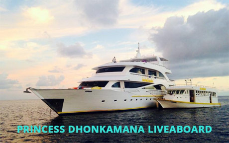 Princess Dhonkamana