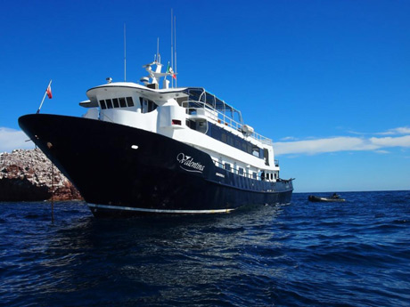 Valentina liveaboard in Baja California