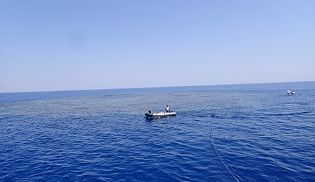 Gota Soraya reef, St Johns, Red Sea