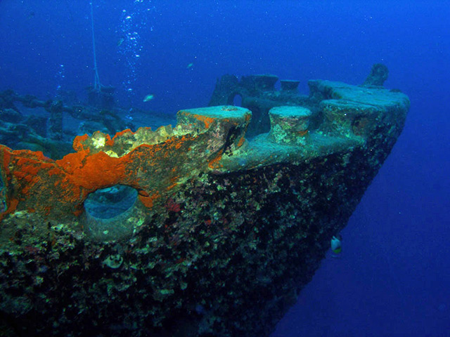 Thistlegorm bow. Tim Nicholson