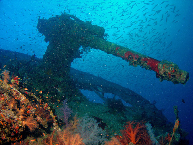 Gun on Thistlegorm. Tim Nicholson