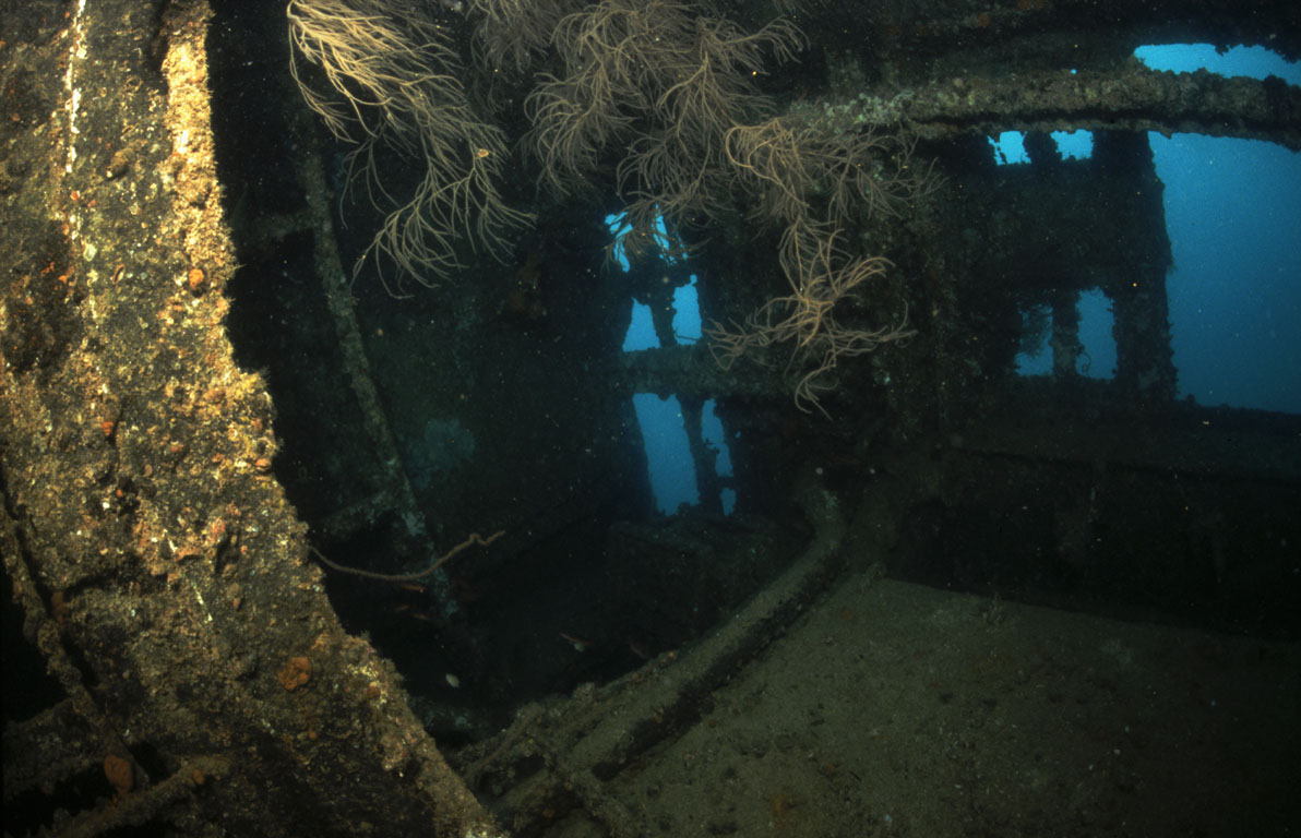 Wreck1 interior, The Shipyard (Lhaviyani Atoll), Maldives