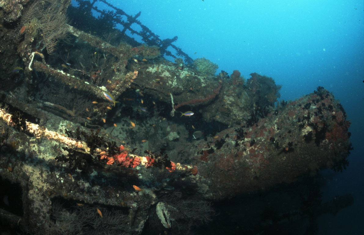 Wreck2 deck, The Shipyard (Lhaviyani Atoll), Maldives