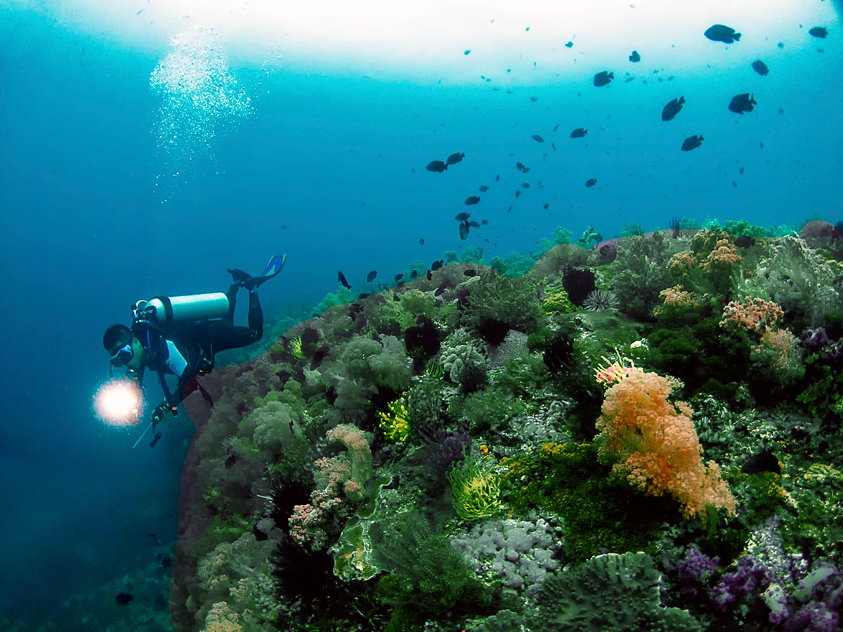 SCUBA Diving Malapascua, Philippines