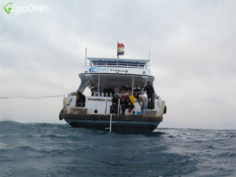 Egypt Divers boat